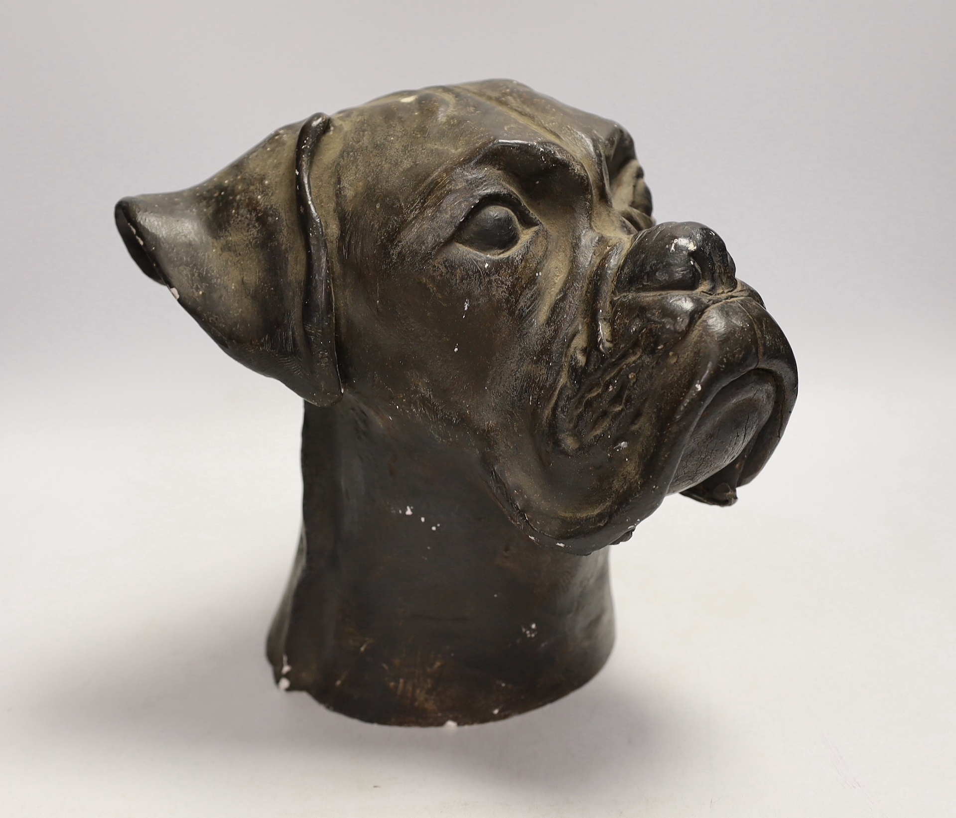 A plaster model of a bulldog head, 24cm